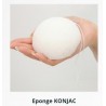 EPONGE konjac