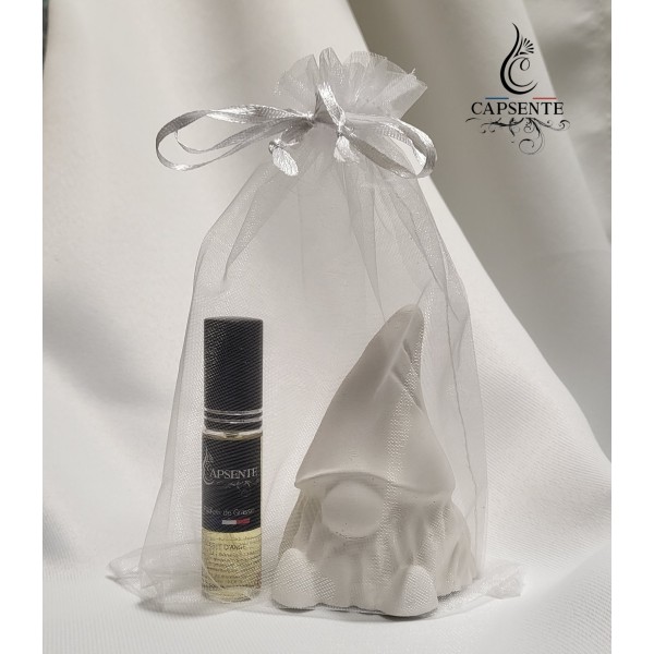 Coffret diffuseur GNOME
