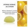 EPONGE konjac
