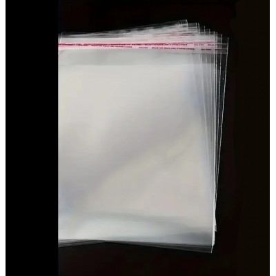 Sachet transparent lot de 10