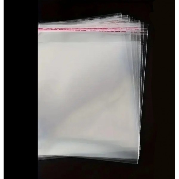 Sachet transparent lot de 10